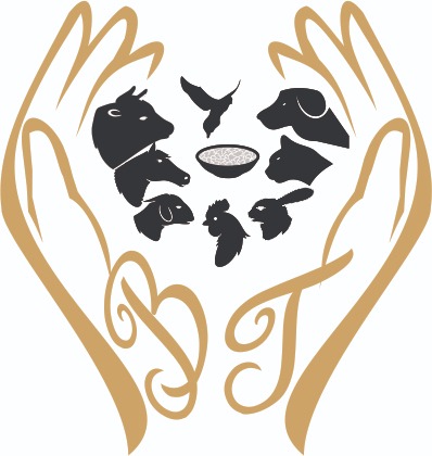 Bangash Traders Logo